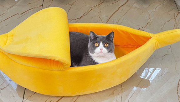 浅谈确定营销型网站主题的三大原则